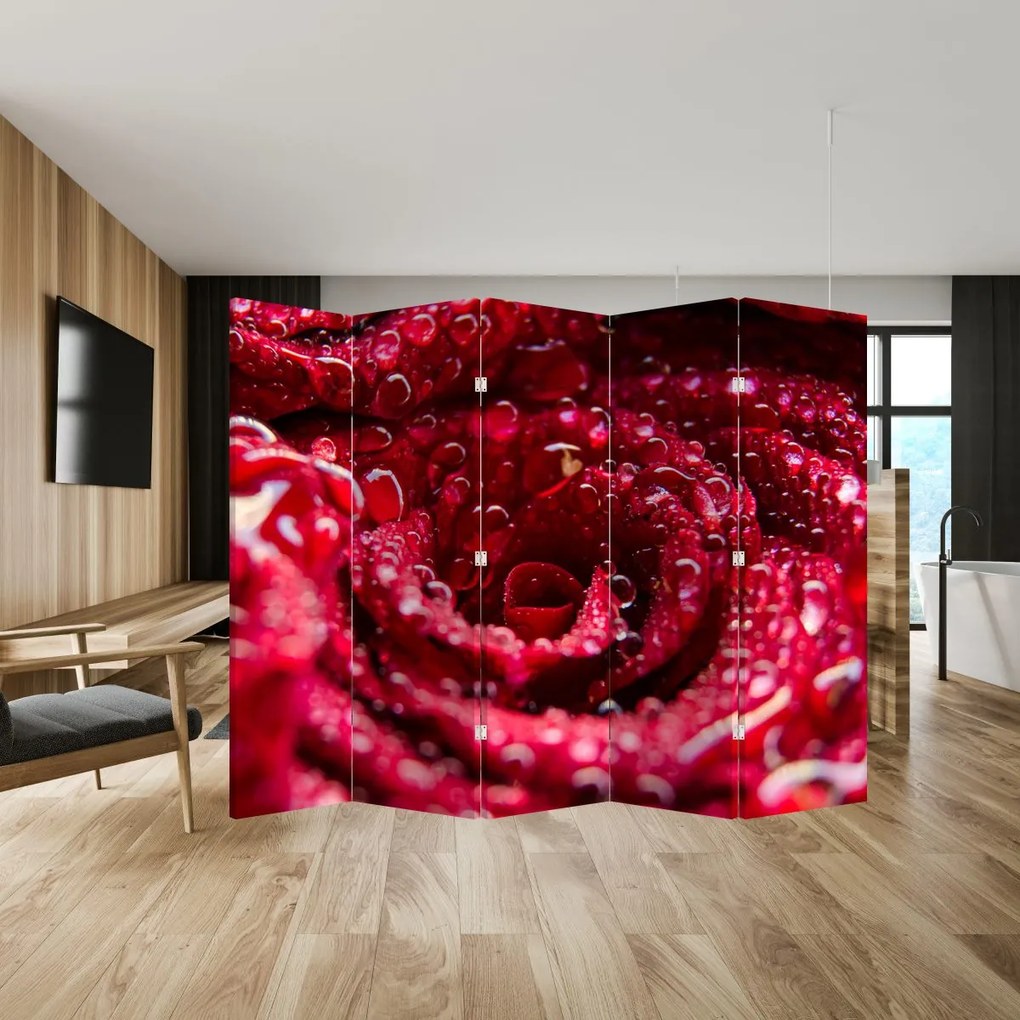 Paraván - Kvet červenej ruže (210x170 cm)