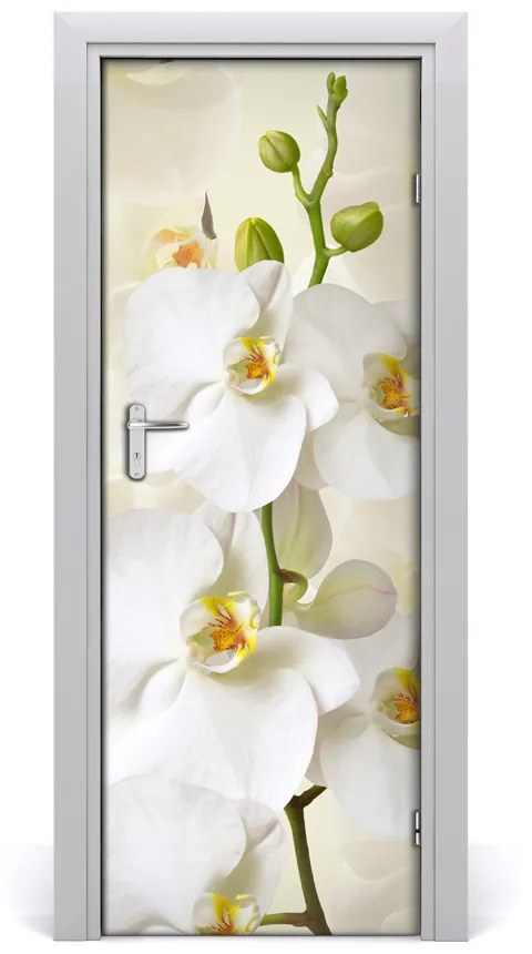 Fototapeta na dvere biela orchidea 85x205 cm