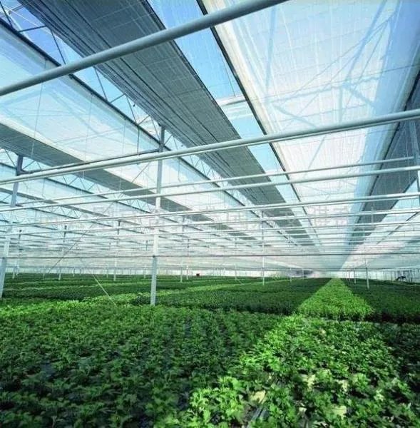 Tieniaca sieť na plot 1,2 x 25 m 60% tieň | noznicovystan.sk