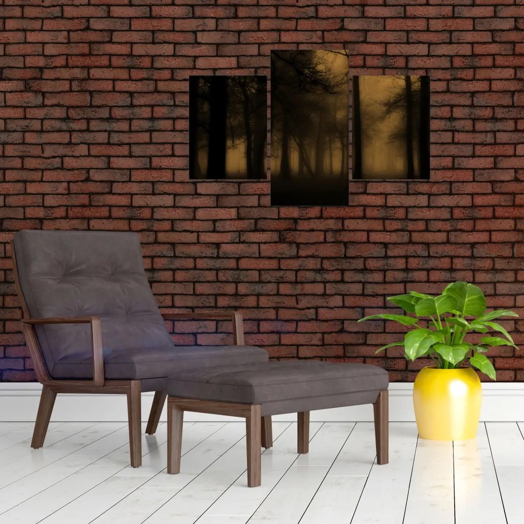 Obraz - Temný les (90x60 cm)