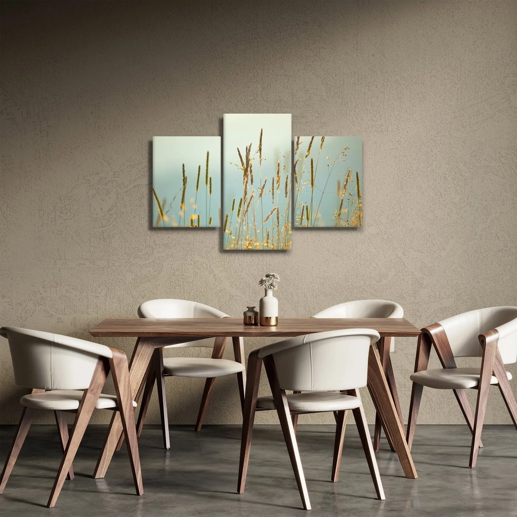 Obraz - Lúčny okamih (90x60 cm)