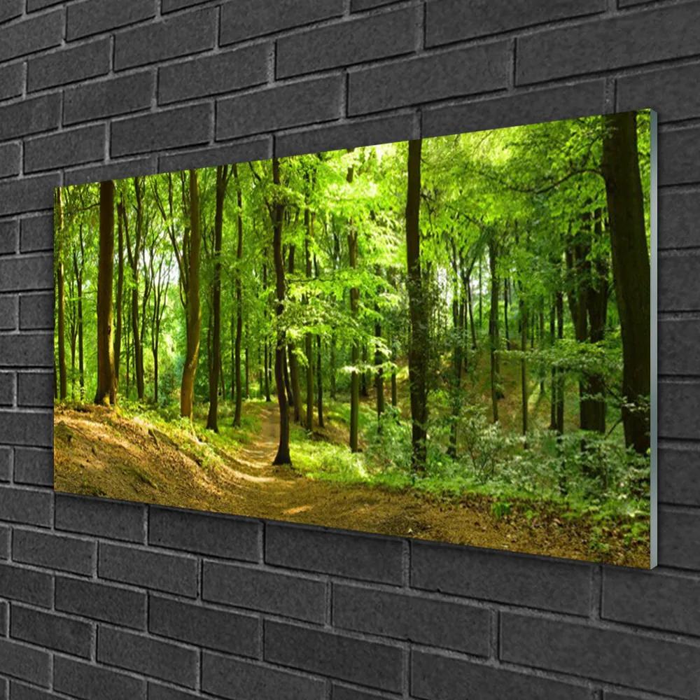 Obraz na skle Les príroda 140x70 cm