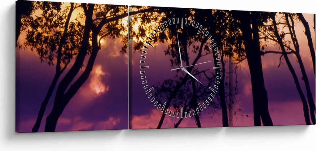 Obraz - Stromy pri západe slnka (s hodinami) (90x30 cm)