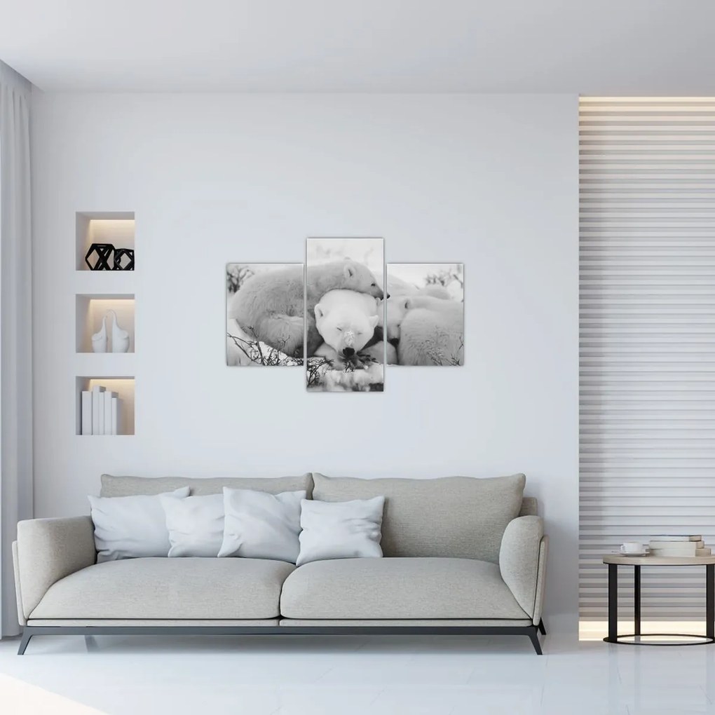 Obraz - Ľadové medvede (90x60 cm)