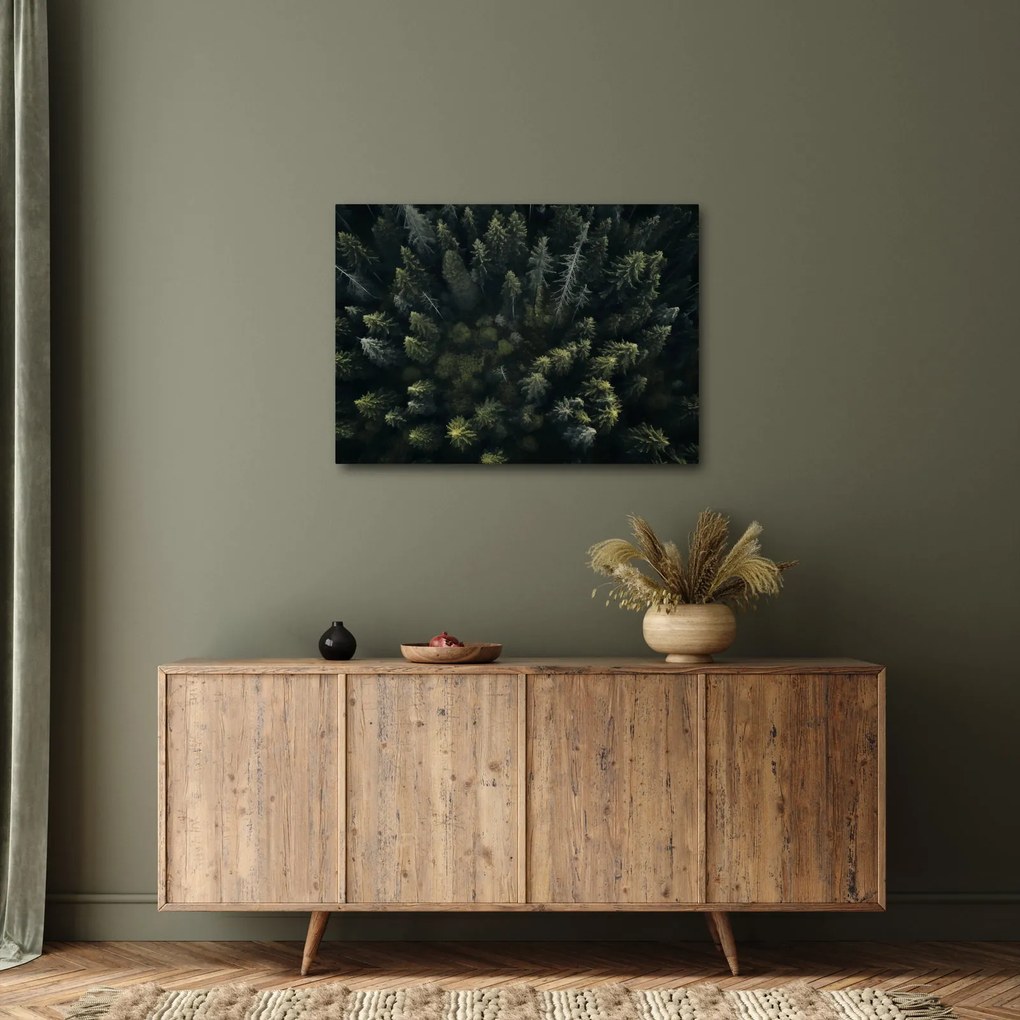 Obraz - Les (70x50 cm)