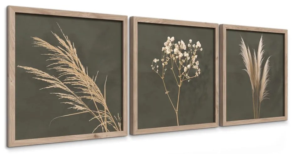 Obrazy v súprave 3 ks 30x30 cm Pampas – Styler