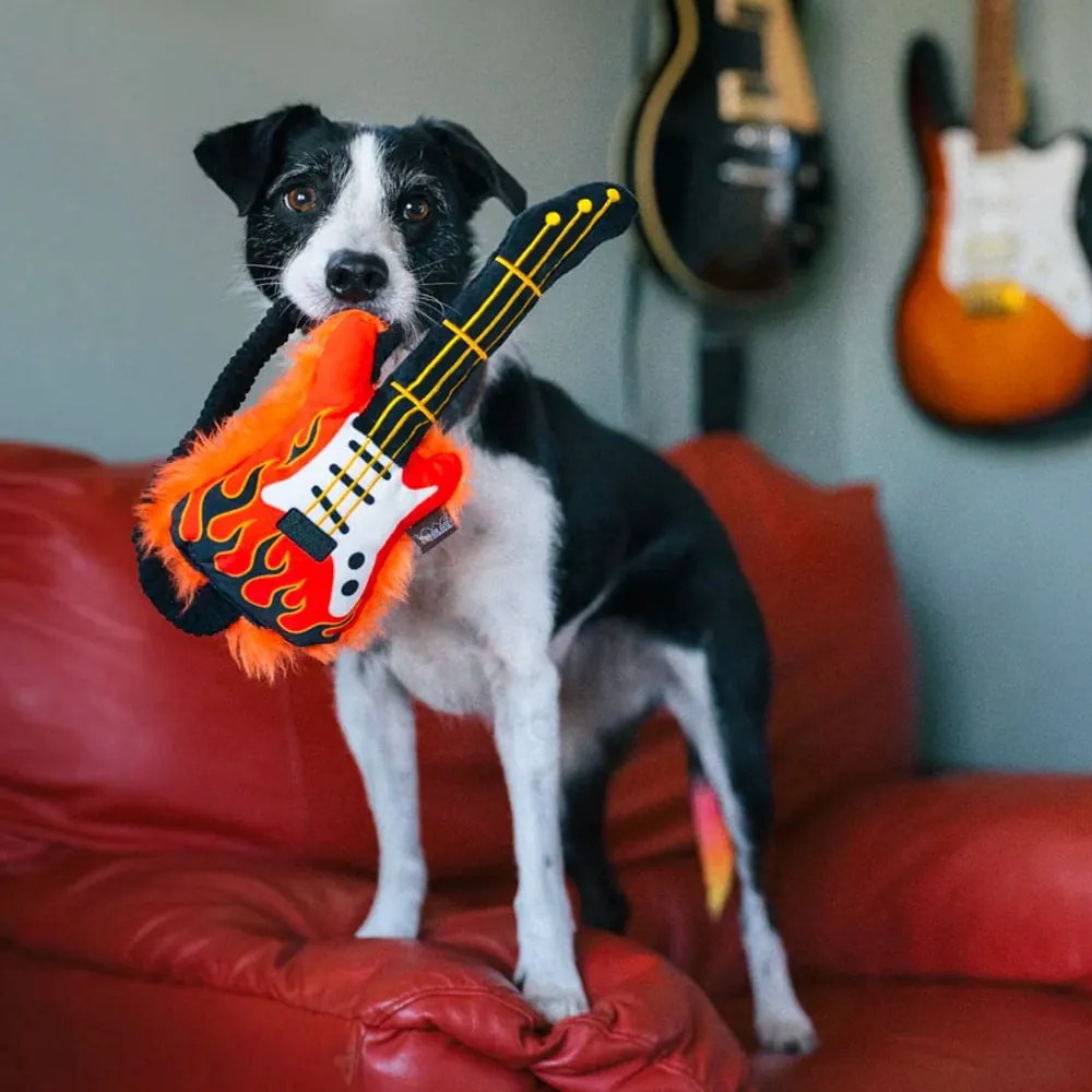 Hračka pre psa Elektrická gitara – P.L.A.Y.
