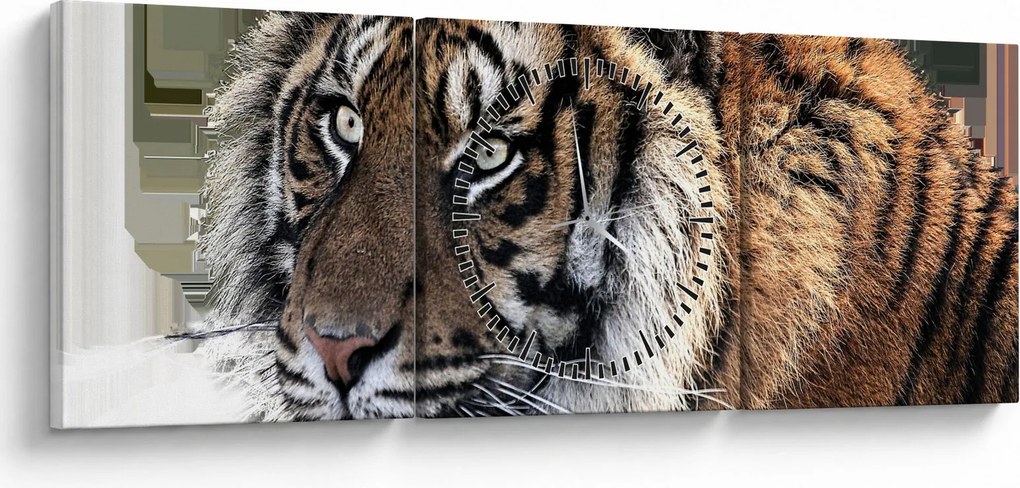 Obraz tigra (s hodinami) (90x30 cm)
