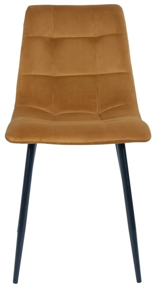 Súprava 2 jedálenských stoličiek s horčicovožltým poťahom zo zamatu House Nordic Middelfart