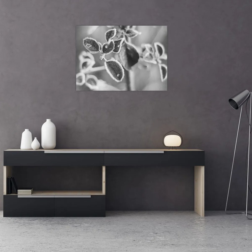 Obraz - Príroda na jeseň (70x50 cm)