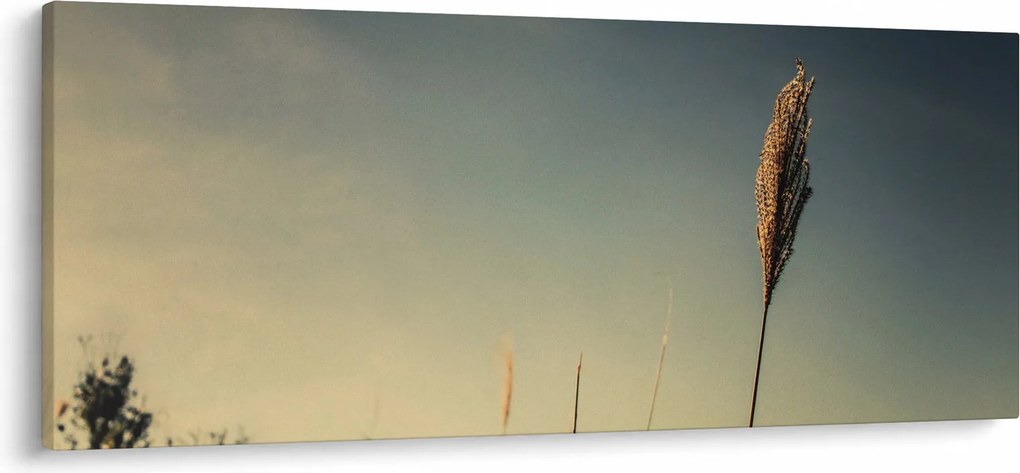 Obraz s trávou (120x50 cm)