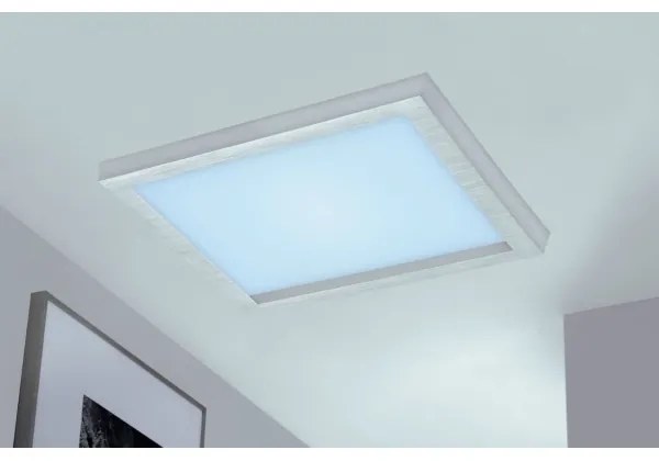 Briloner 7371-014 - LED Stmievateľné stropné svietidlo LED/24W/230V 3000-6500K+ DO