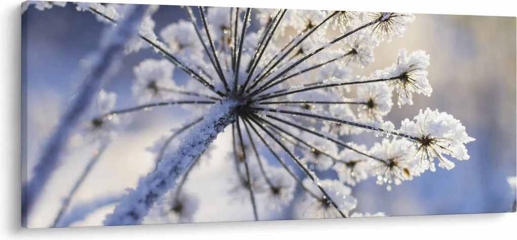 Obraz - Zamrznutý kvet (120x50 cm)