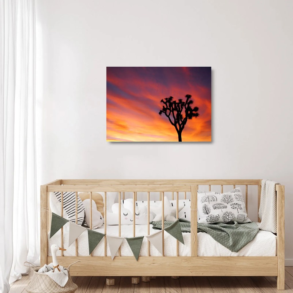 Sklenený obraz západu slnka nad siluetou stromu (70x50 cm)