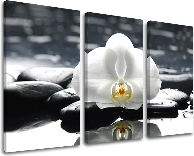 Obraz na stenu 3 dielny FENG SHUI FS018E30
