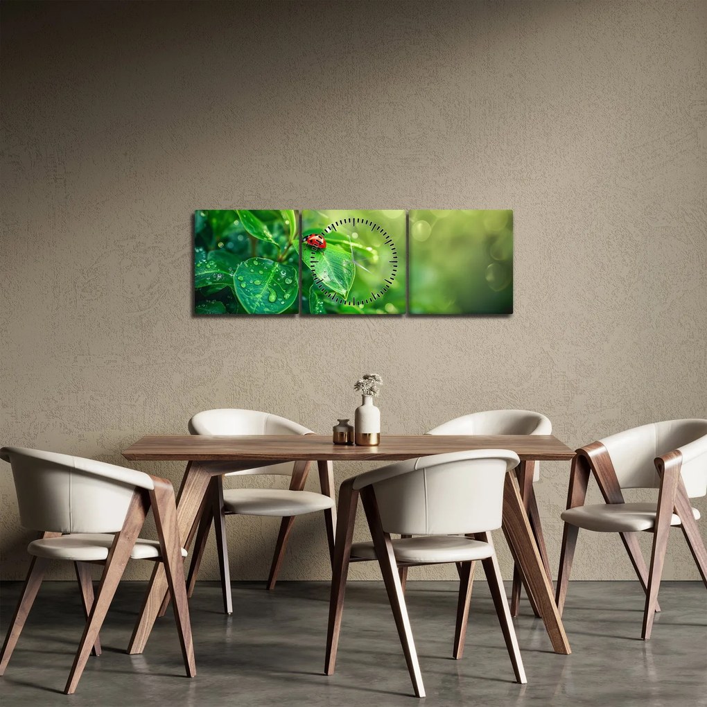 Obraz - Lienka (s hodinami) (90x30 cm)