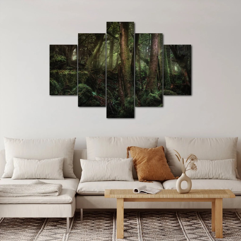 Obraz - Tajomný les (150x105 cm)
