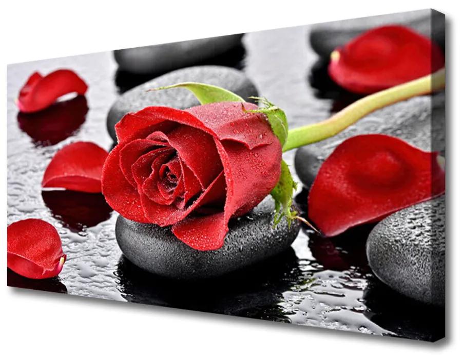 Obraz Canvas Ruže kvet kamene zen 140x70cm