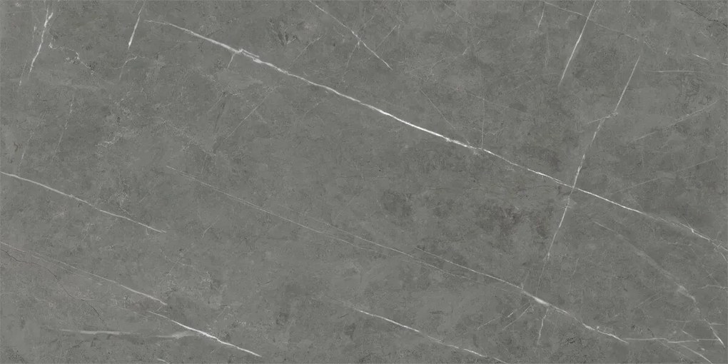 Dlažba Tessino Grey Natural 60x120 R