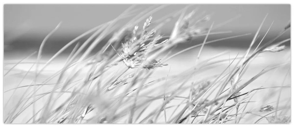 Obraz - Plážová tráva (120x50 cm)
