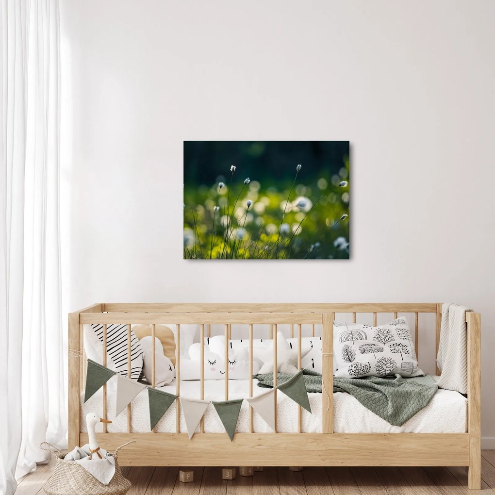 Obraz - Tráva (70x50 cm)