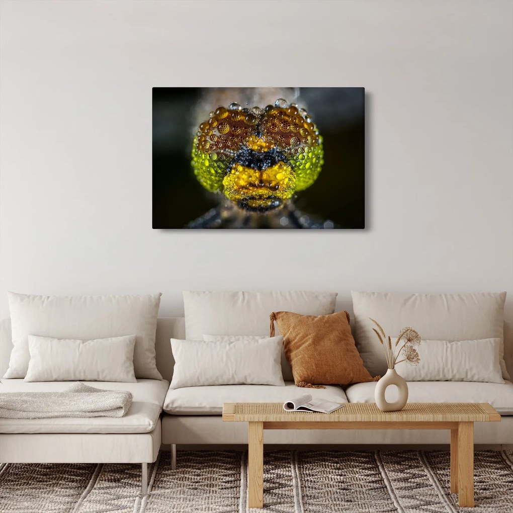 Detailný obraz očí hmyzu (90x60 cm)