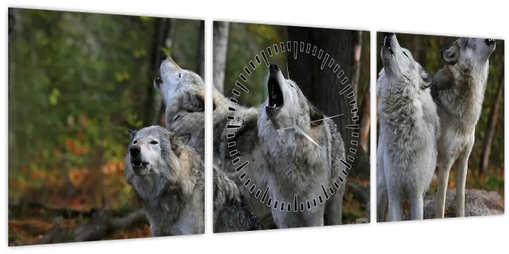 Obraz - Vlci na skale (s hodinami) (90x30 cm)