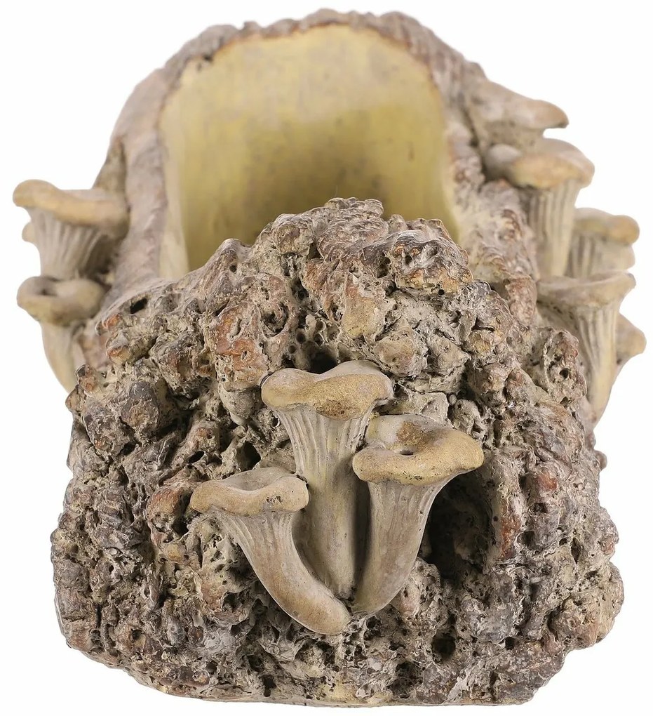Betonový obal - truhlík, drevo s hubami, 41 x 19 x13 cm, hnedá