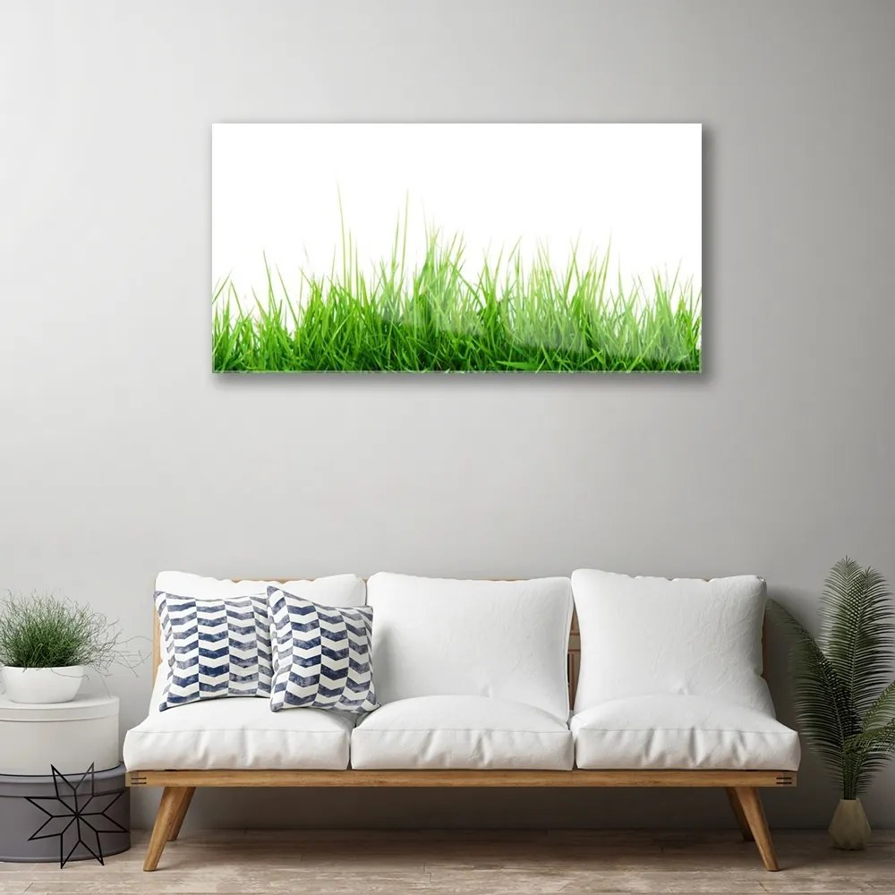 Skleneny obraz Tráva príroda rastlina 140x70 cm