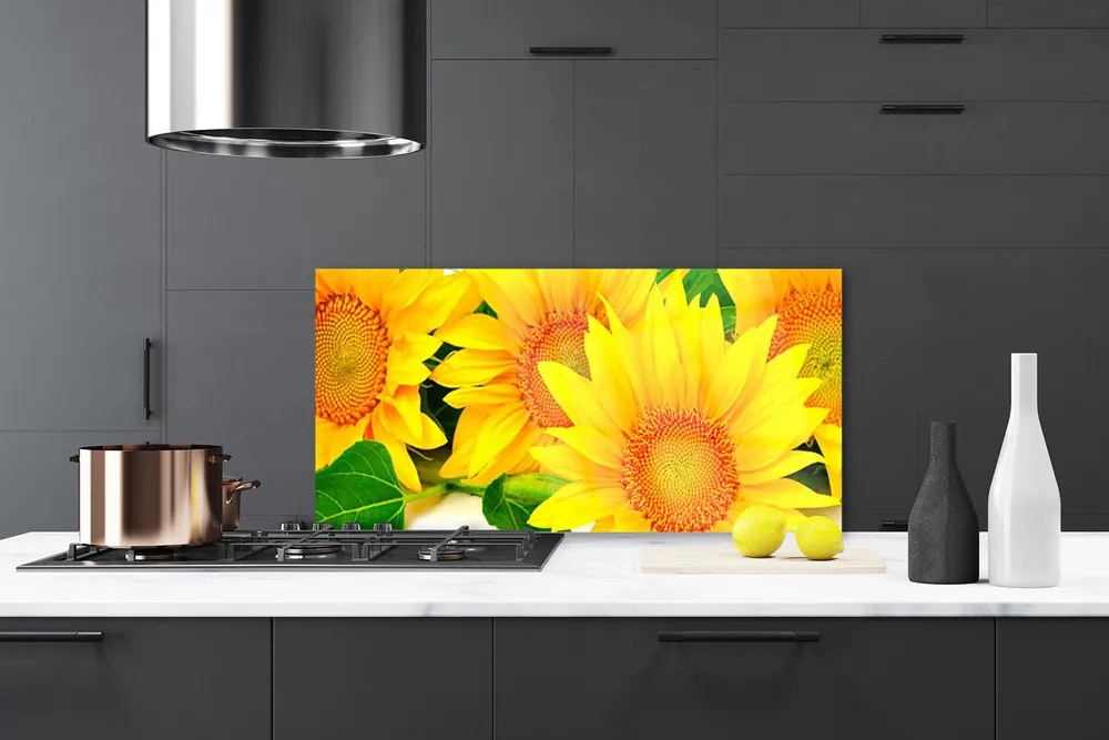 Sklenený obklad Do kuchyne Slnečnica kvet príroda 100x50 cm