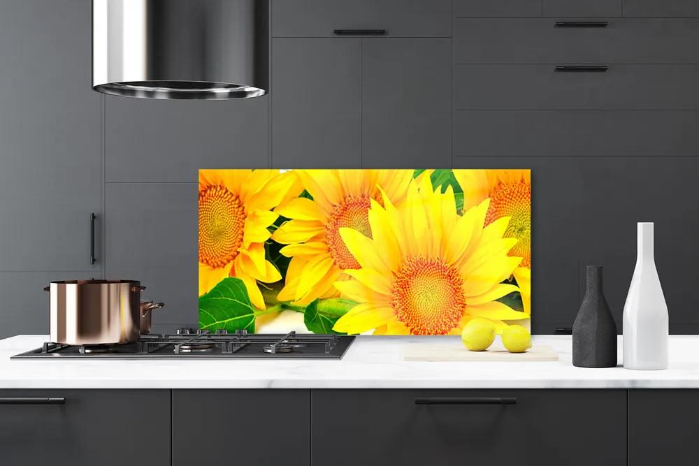 Sklenený obklad Do kuchyne Slnečnica kvet príroda 120x60 cm