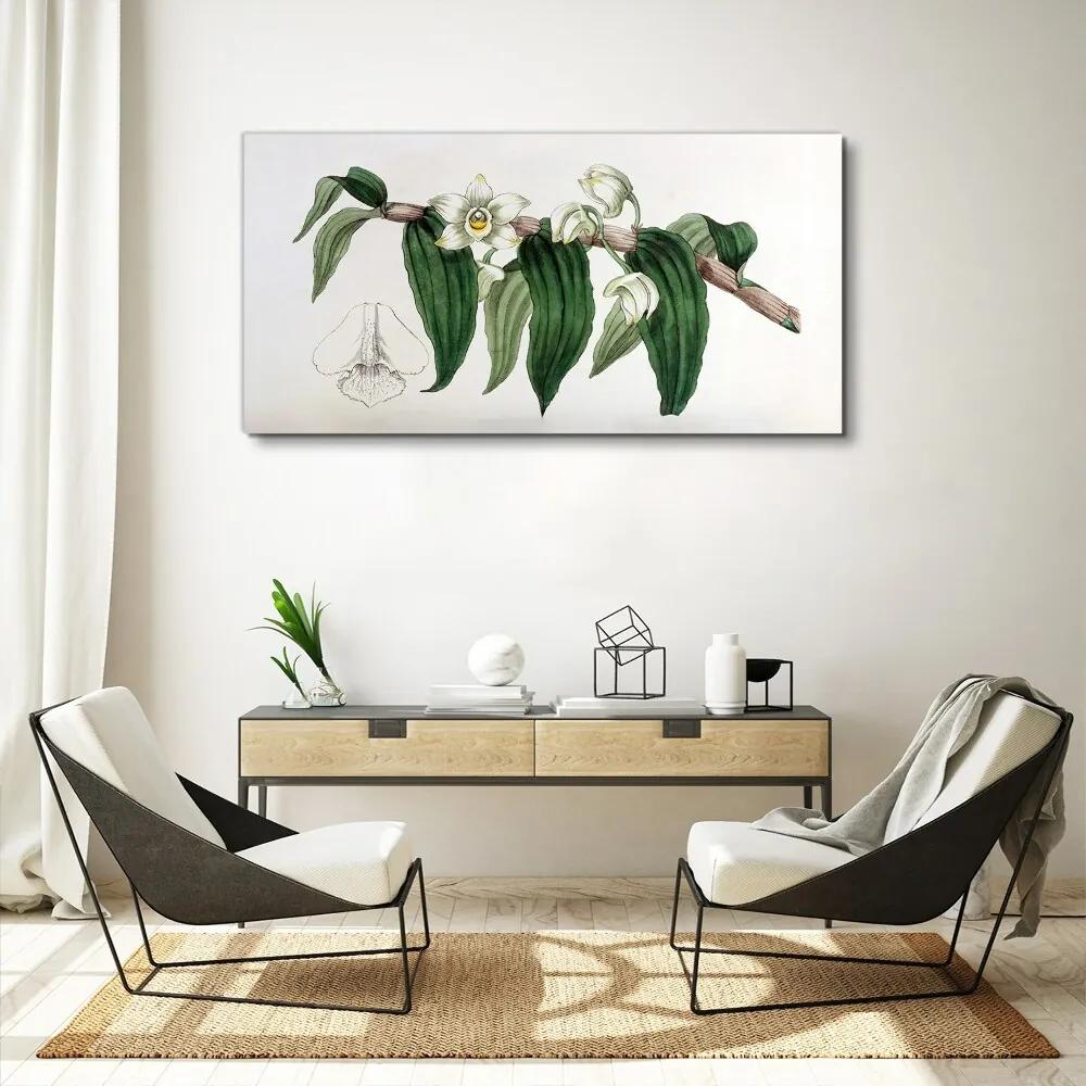 Obraz Canvas Kreslenie kvetinové konáre orchidey
