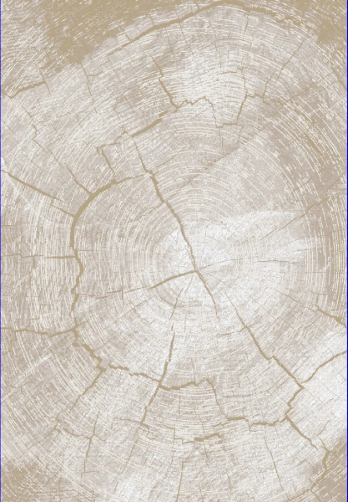 TA Koberec RE41D SVETLO BÉŽOVÁ COMO GZU Rozmer: 140x200 cm