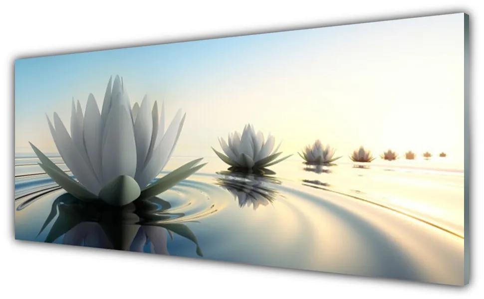 Obraz plexi Vodné lilie kvety rybník 125x50 cm