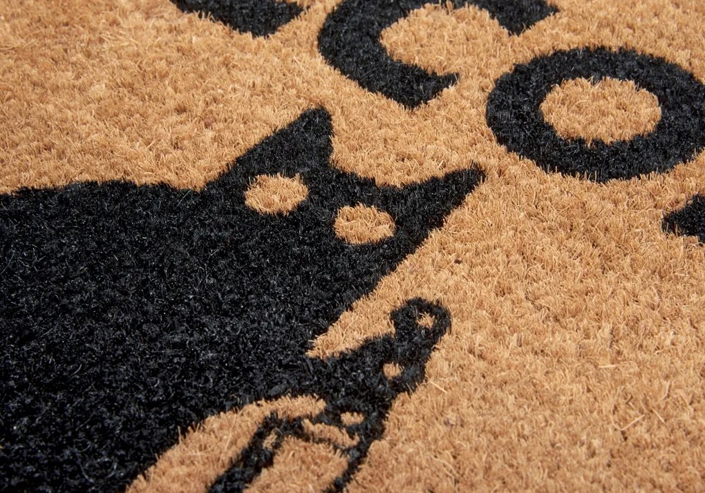 Hanse Home, Rohožka Welcome madafakas 105668 – na von aj na doma, 45x75, hnedá, chodba / predsieň