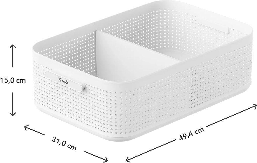 Rotho Úložný box do skrine, šatníkový organizér LISORA - L, 49,4 × 31 × 15 cm