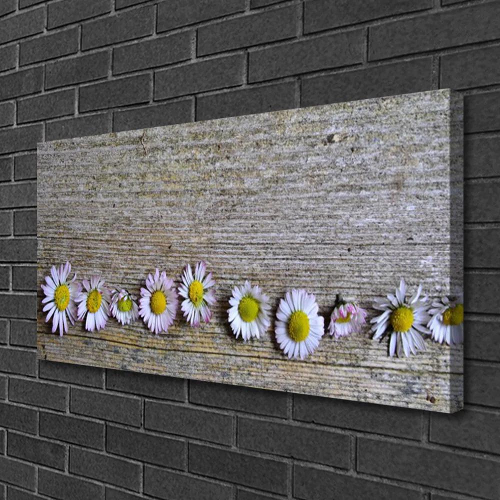 Obraz Canvas Sedmokráska rastlina príroda 120x60 cm