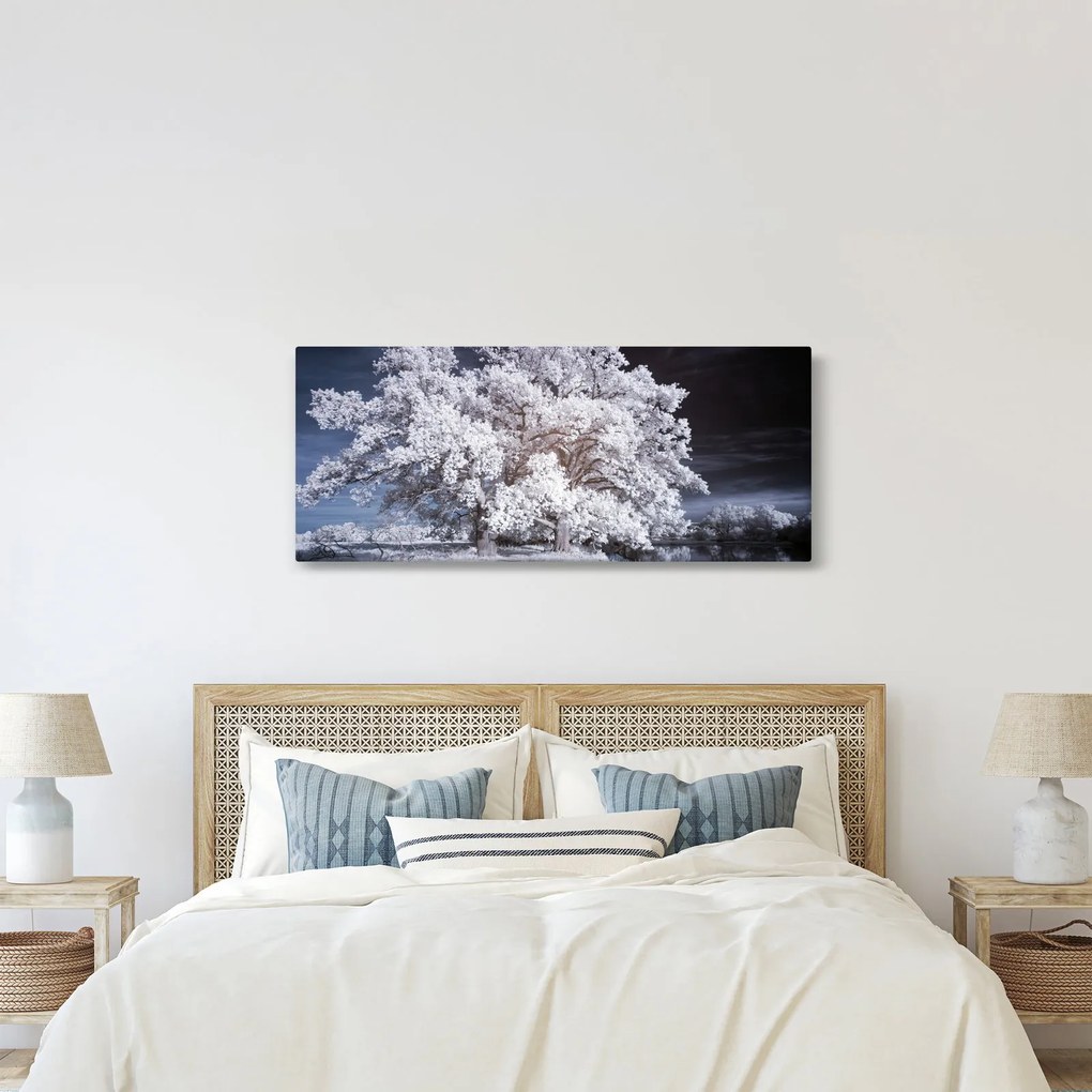 Obraz - Snehobiely strom (120x50 cm)