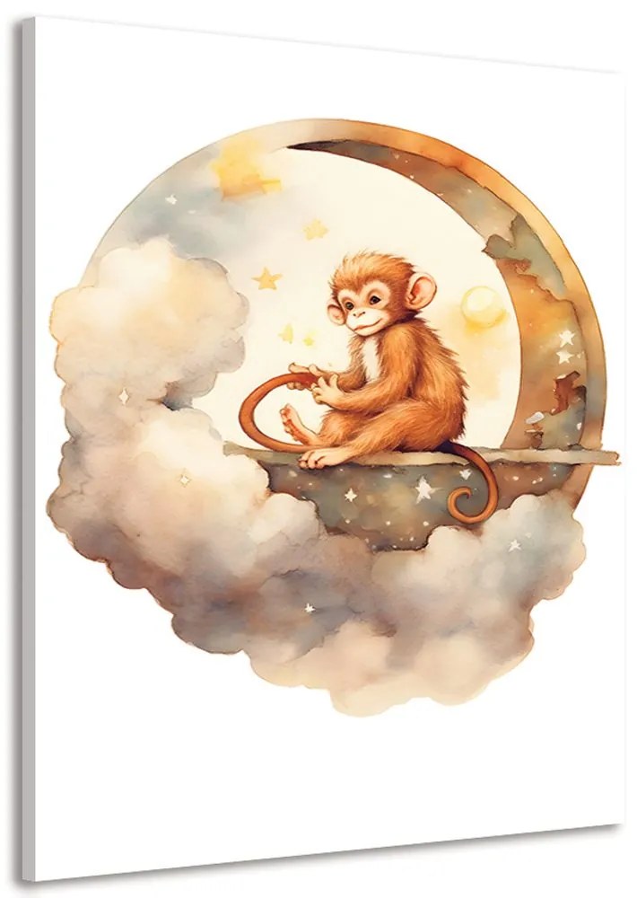 Obraz zasnená opica Varianta: 80x120