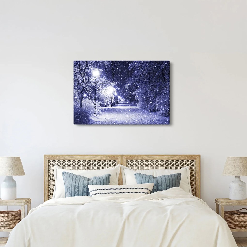 Obraz - Čarovná zimná noc (90x60 cm)