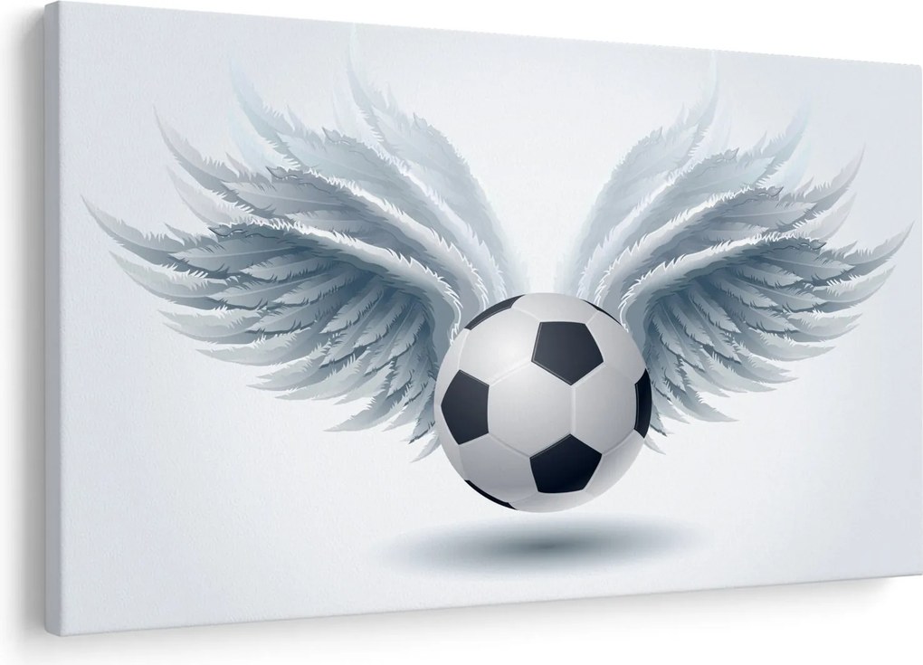 Obraz - Balón s krídlami (90x60 cm)