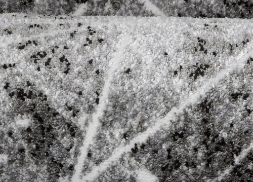 Koberce Breno Kusový koberec VICTORIA 8044 - 0644, sivá, viacfarebná,80 x 150 cm