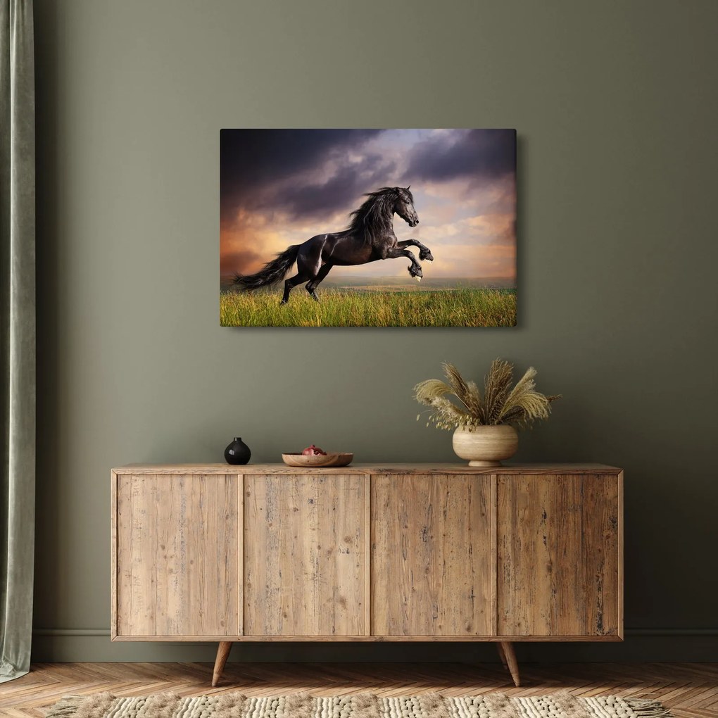 Obraz - Kone (90x60 cm)