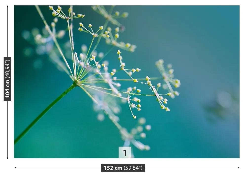 Fototapeta Vliesová Kvetinový kôpor 152x104 cm