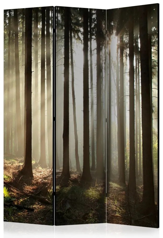Artgeist Paraván - Coniferous forest [Room Dividers]