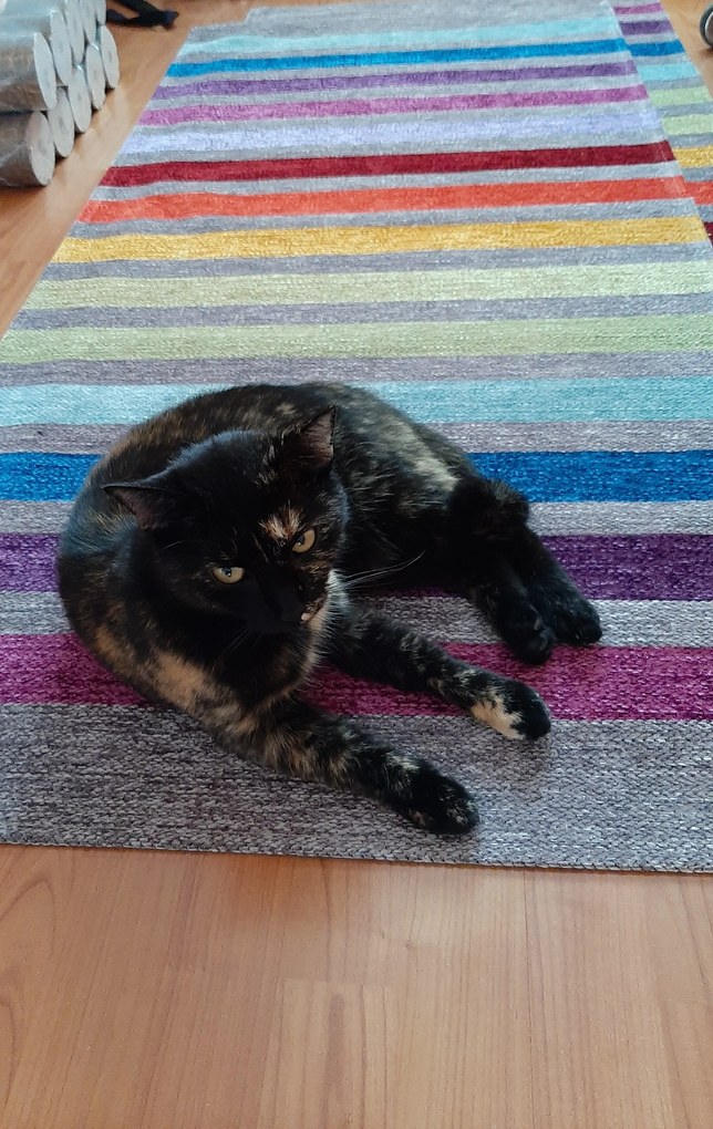 PRE ZVIERATÁ: Prateľný Laos 39 / 999X, 75x160, viacfarebná, chodba / predsieň, Oriental Weavers