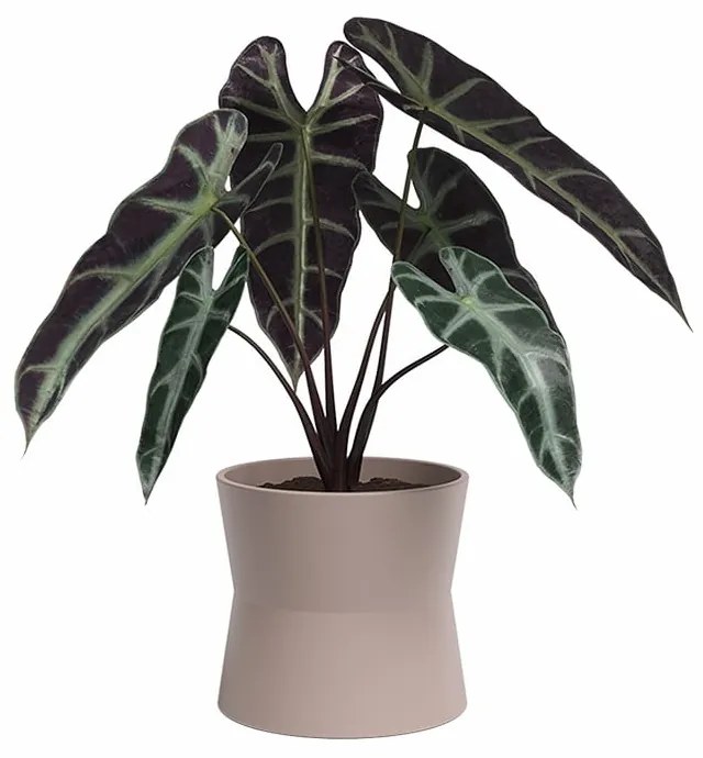 Keramický kvetináč ø 14 cm Diana – Artevasi