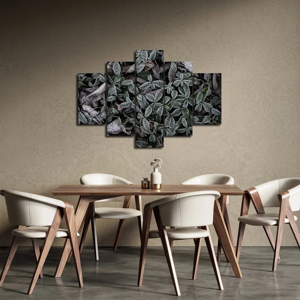 Obraz - Zamrznuté rastliny (150x105 cm)