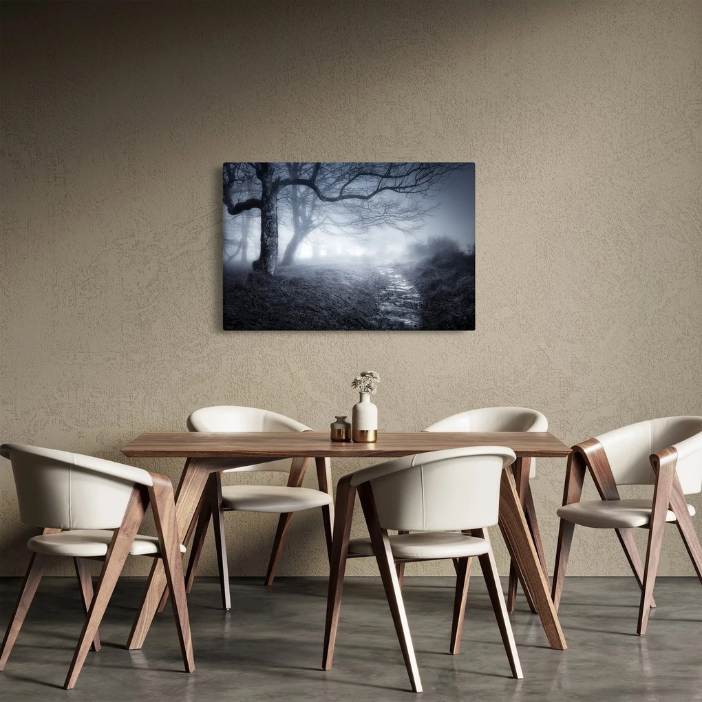 Obraz - Cesta v hmle (90x60 cm)