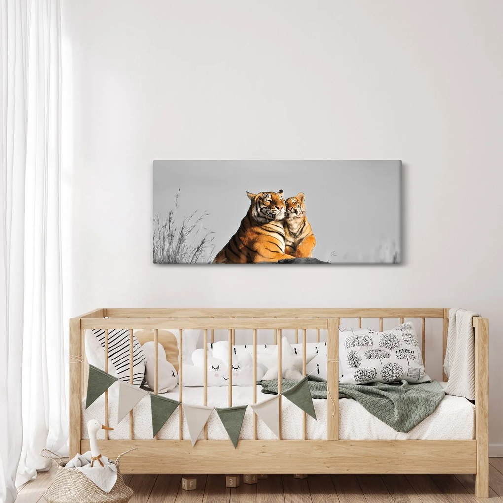 Obraz - Tigrice a jej mláďa, čiernobiely variant (120x50 cm)